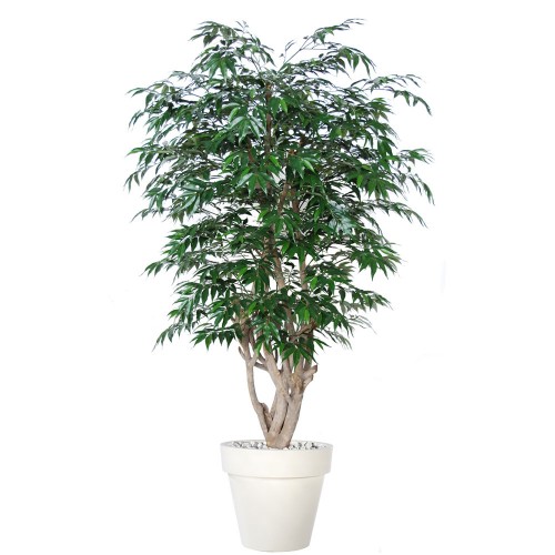 Planta semi-artificiala Ila, Myrsifolia Malabar Green - 180 cm